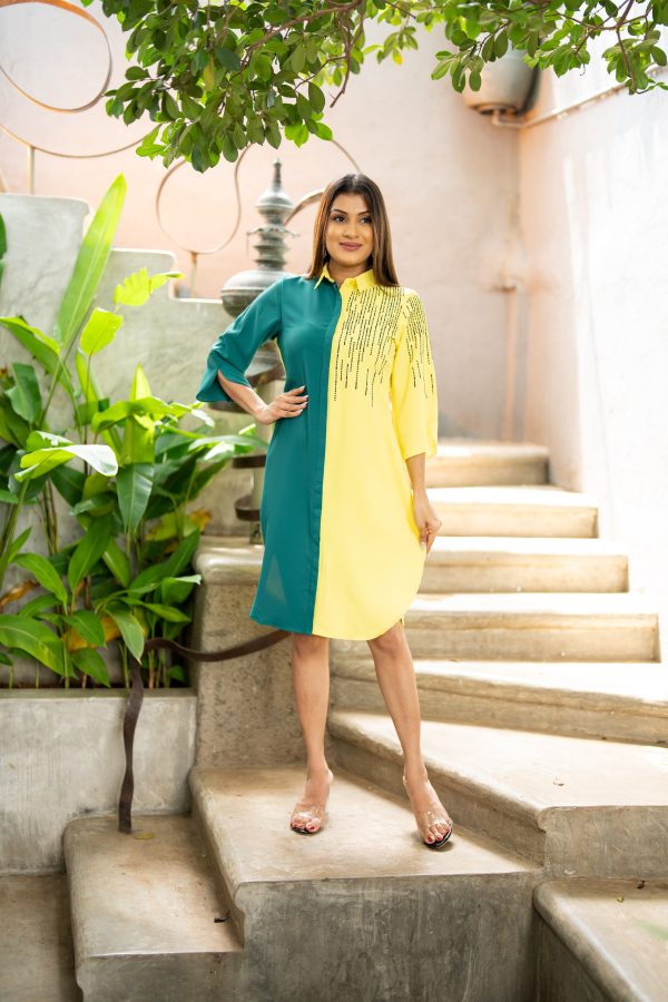Embroidered Two-Tone Shirt Dress