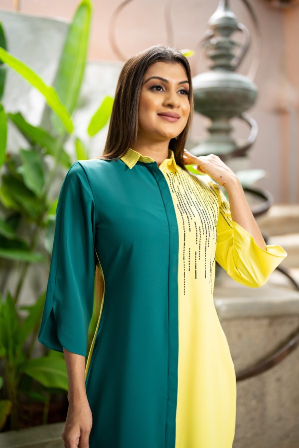 Embroidered Two-Tone Shirt Dress - Image 5