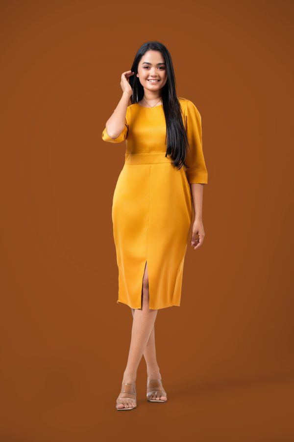 Short Workwear Dress