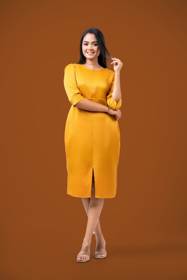 Short Workwear Dress - Image 2